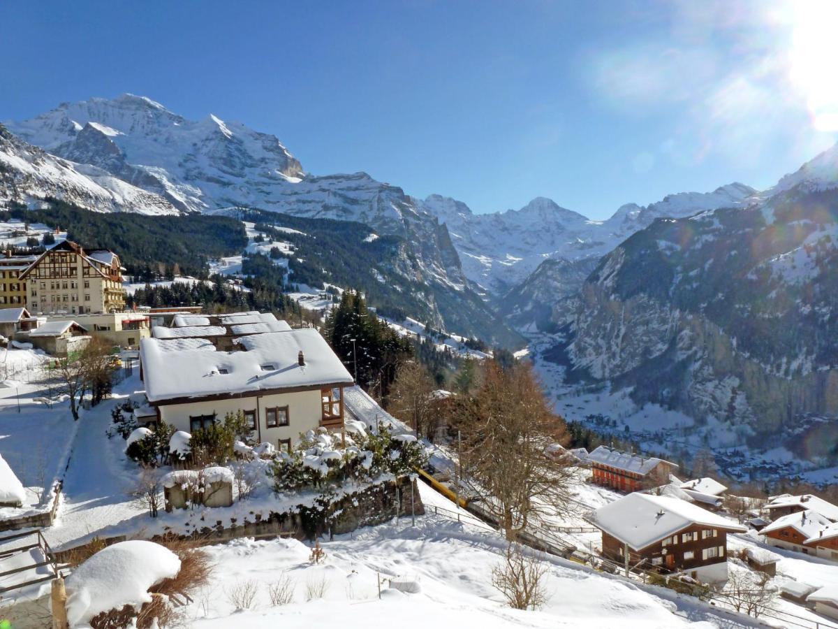 Apartment Plein Soleil Wengen Eksteriør billede